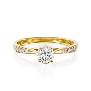 טבעת אירוסין קלאסית BIDDY